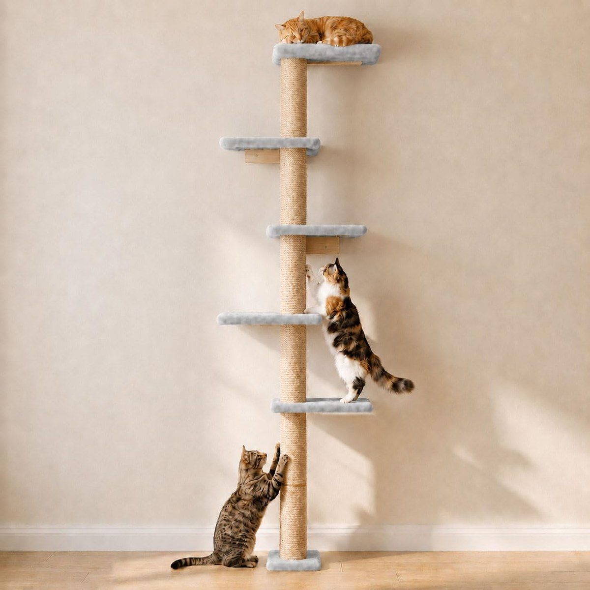 Wall Cat Trees